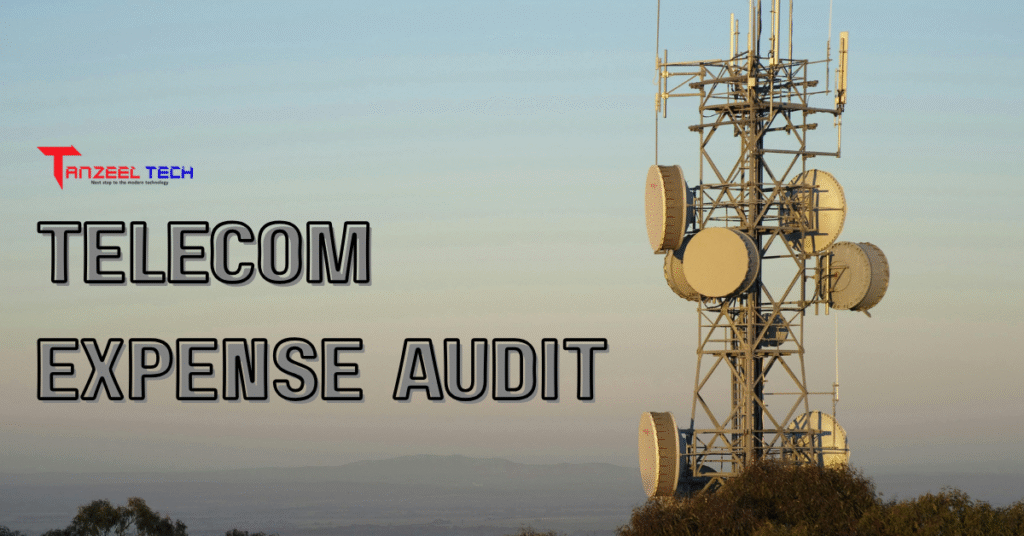 Telecom Expense Audit